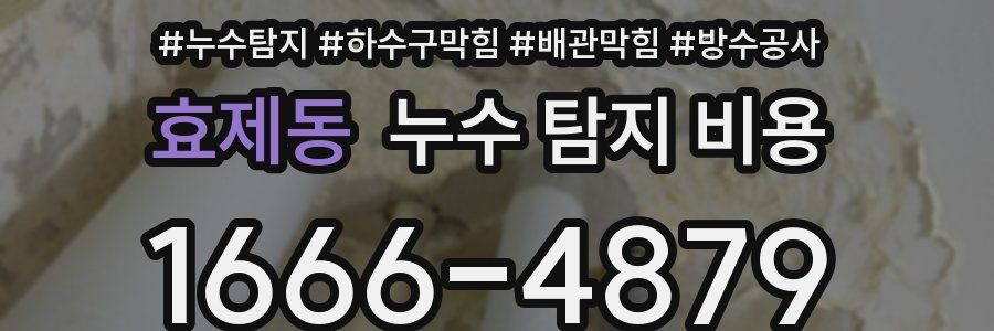 효제동 누수 탐지 비용