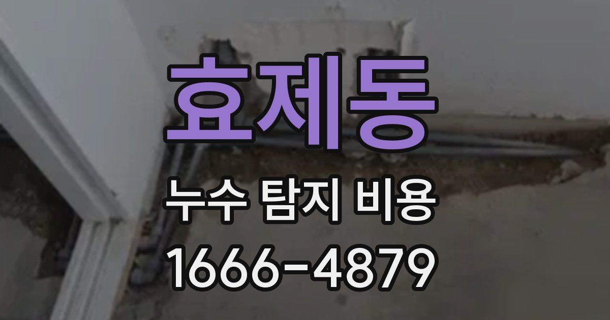 효제동 누수 탐지 비용