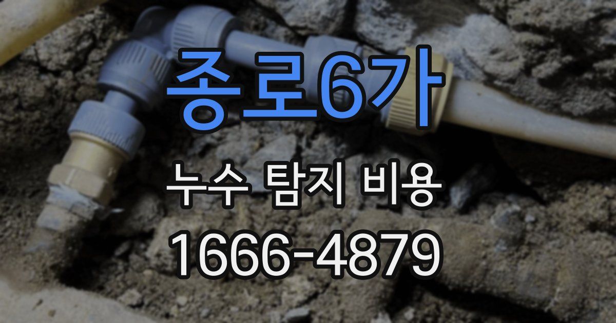 종로6가 누수 탐지 비용