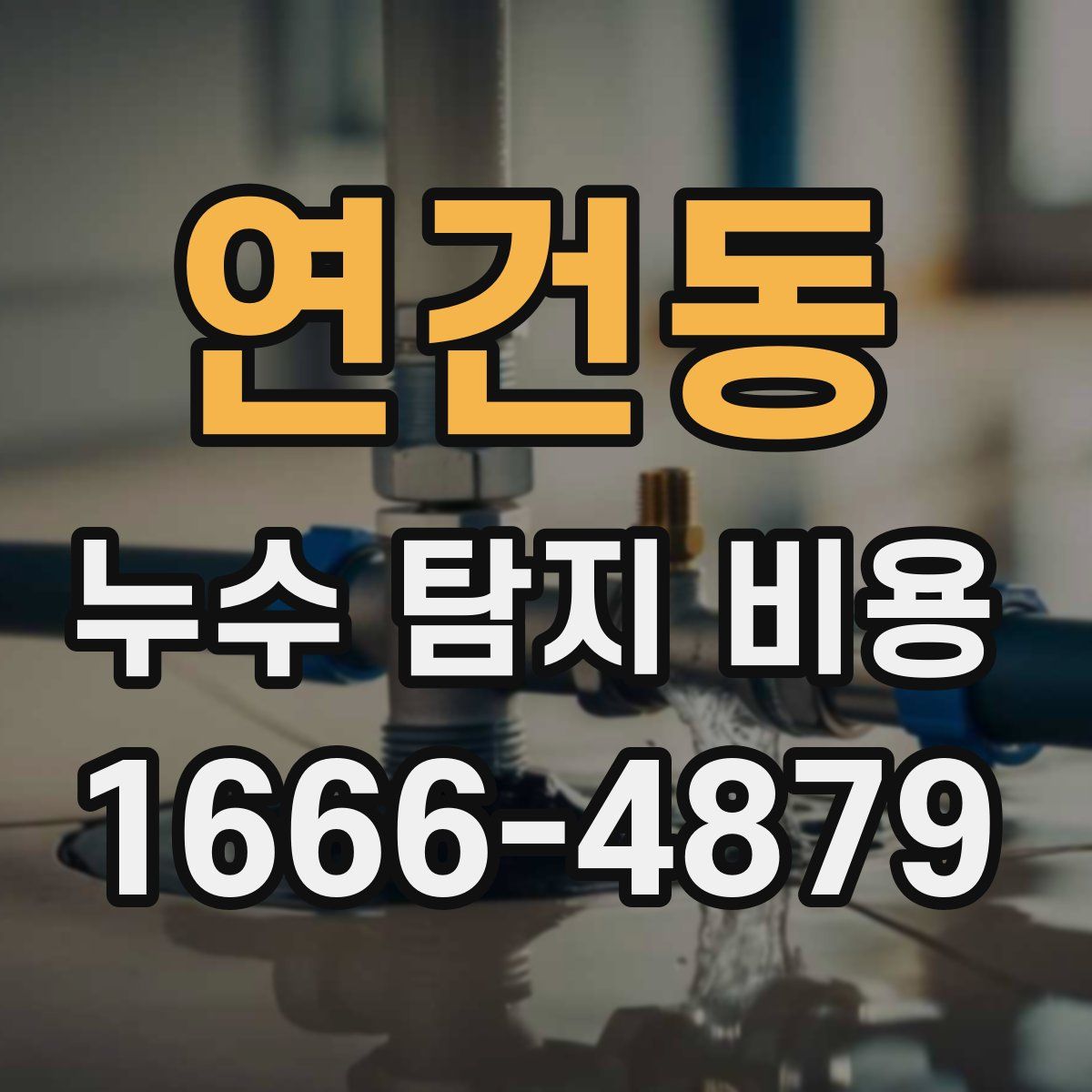 연건동 누수 탐지 비용