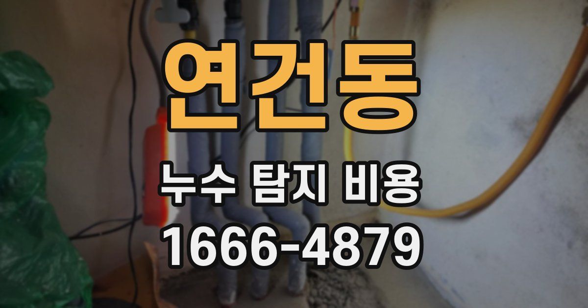 연건동 누수 탐지 비용