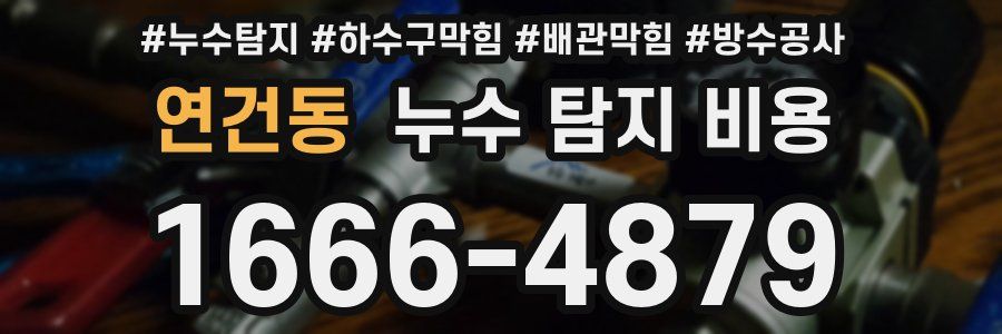 연건동 누수 탐지 비용