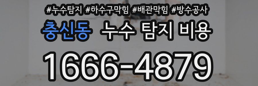 충신동 누수 탐지 비용