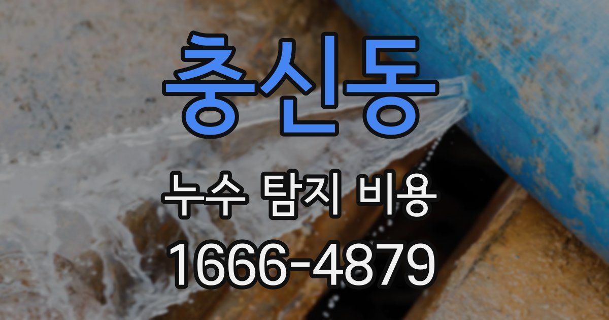 충신동 누수 탐지 비용