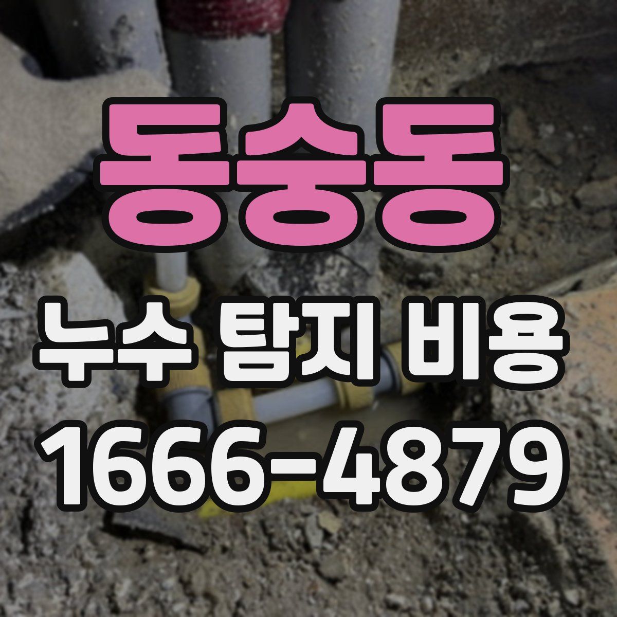 동숭동 누수 탐지 비용