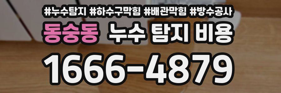 동숭동 누수 탐지 비용