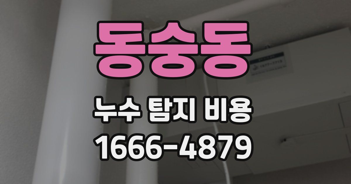 동숭동 누수 탐지 비용