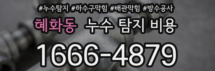 혜화동 누수 탐지 비용
