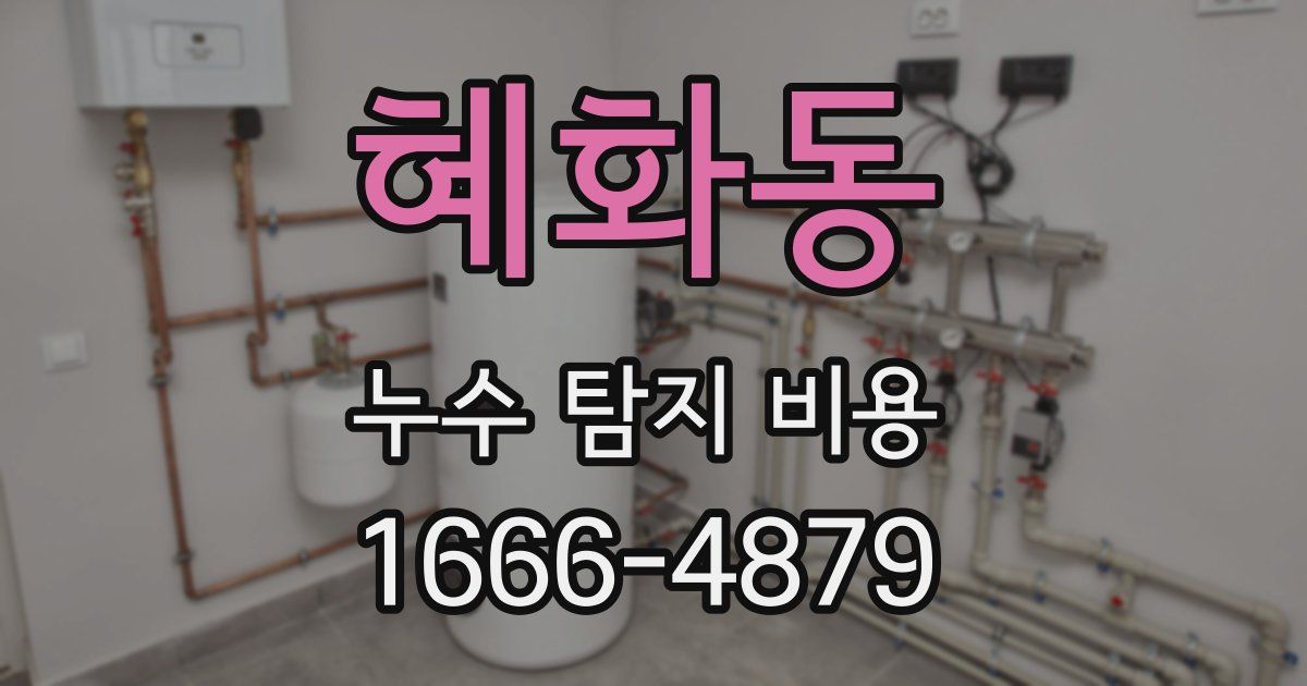 혜화동 누수 탐지 비용
