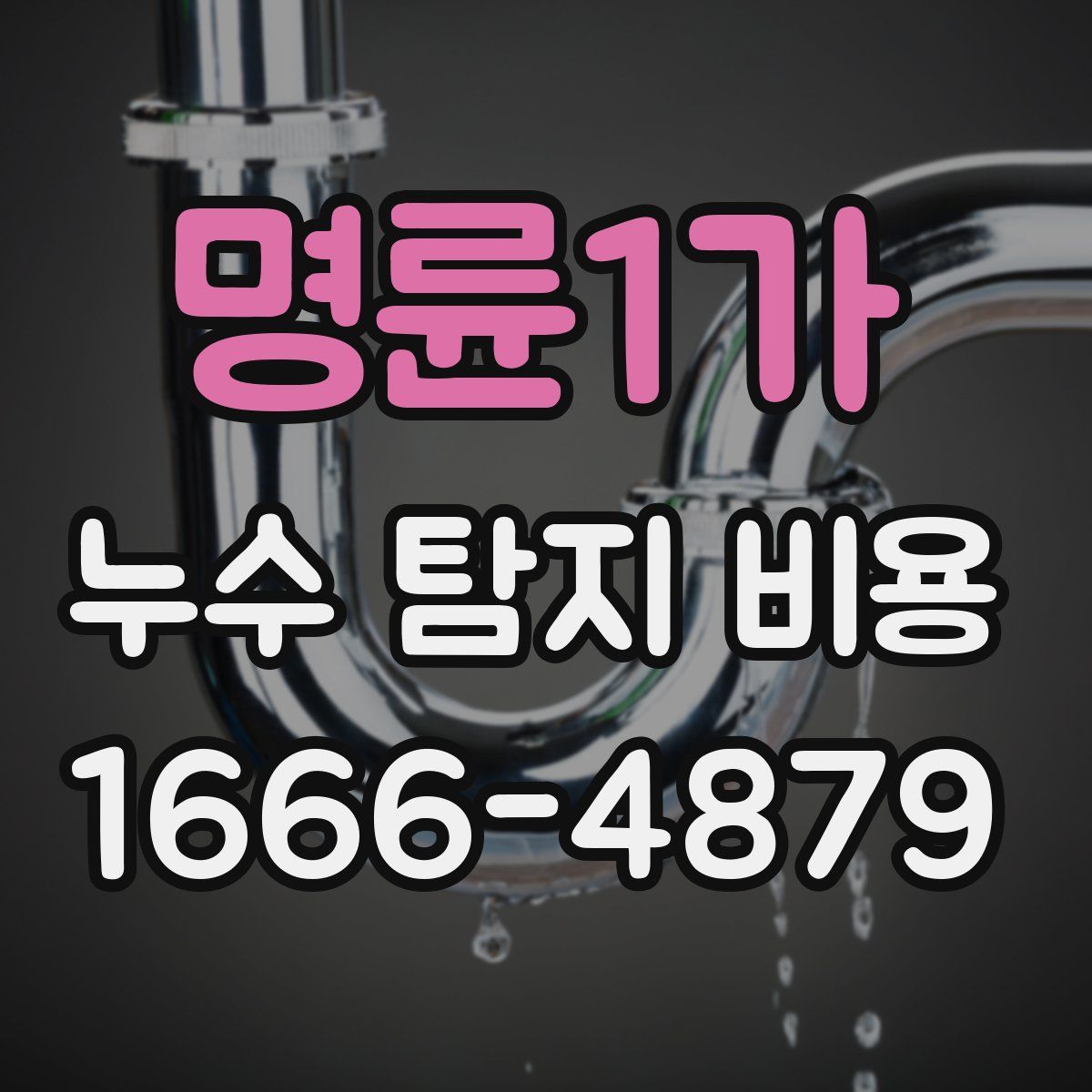 명륜1가 누수 탐지 비용