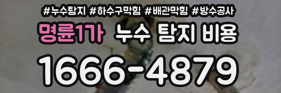 명륜1가 누수 탐지 비용