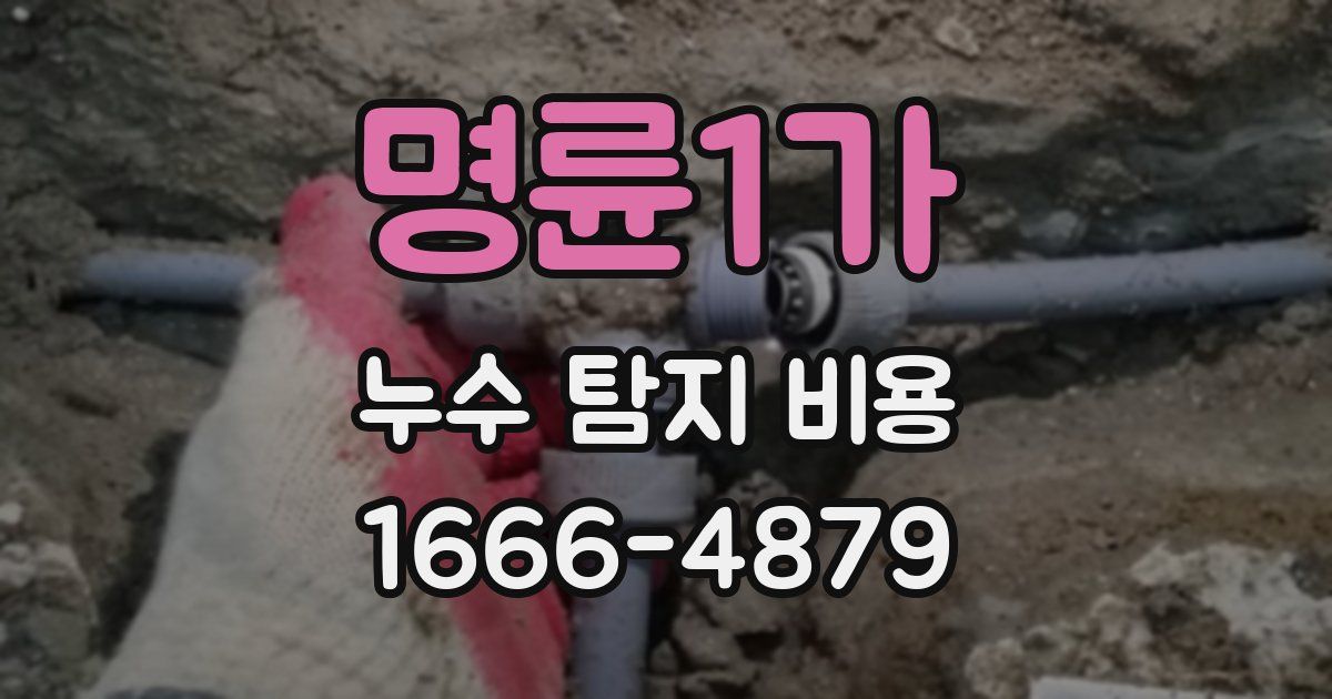 명륜1가 누수 탐지 비용