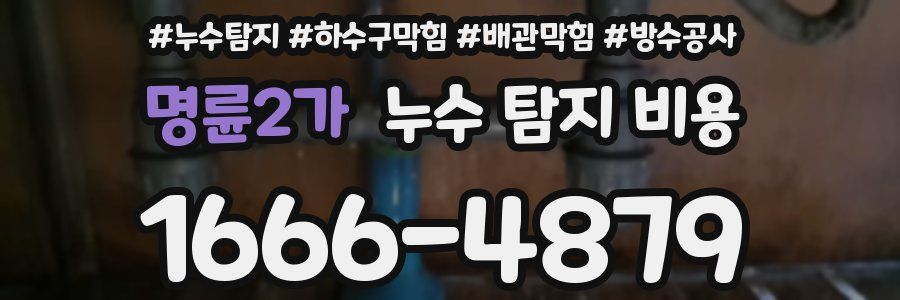 명륜2가 누수 탐지 비용