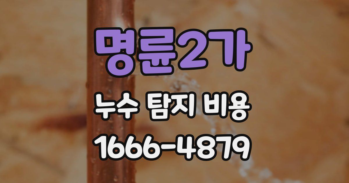 명륜2가 누수 탐지 비용