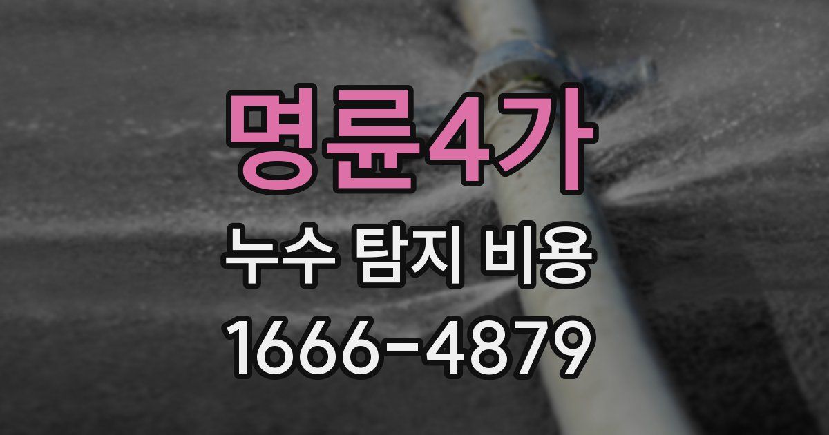 명륜4가 누수 탐지 비용