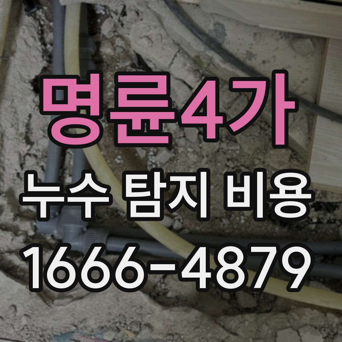 명륜4가 누수 탐지 비용