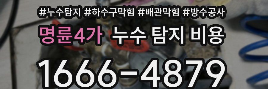 명륜4가 누수 탐지 비용