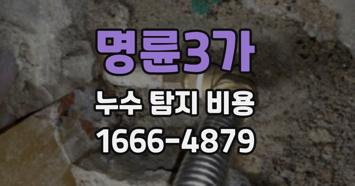 명륜3가 누수 탐지 비용