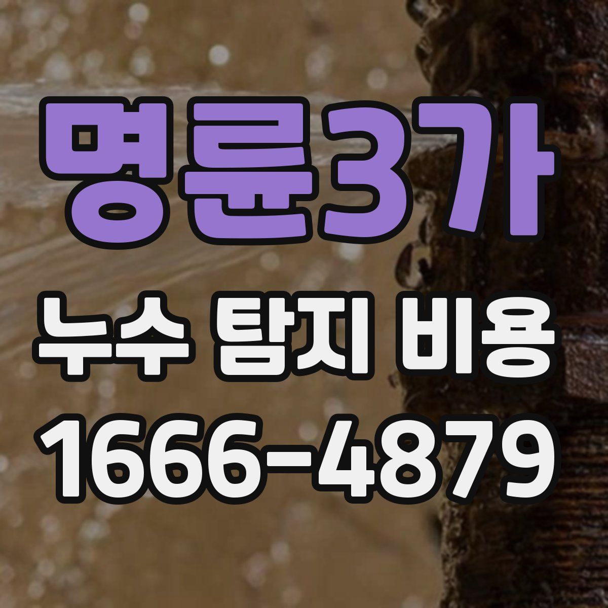 명륜3가 누수 탐지 비용