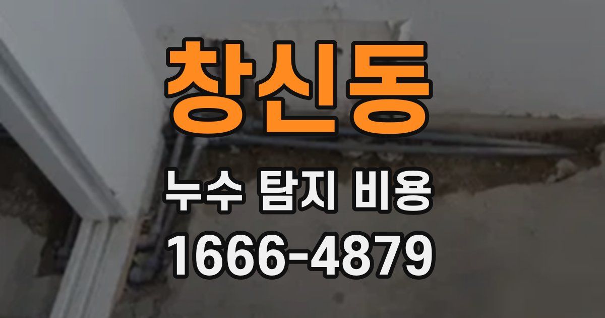 창신동 누수 탐지 비용