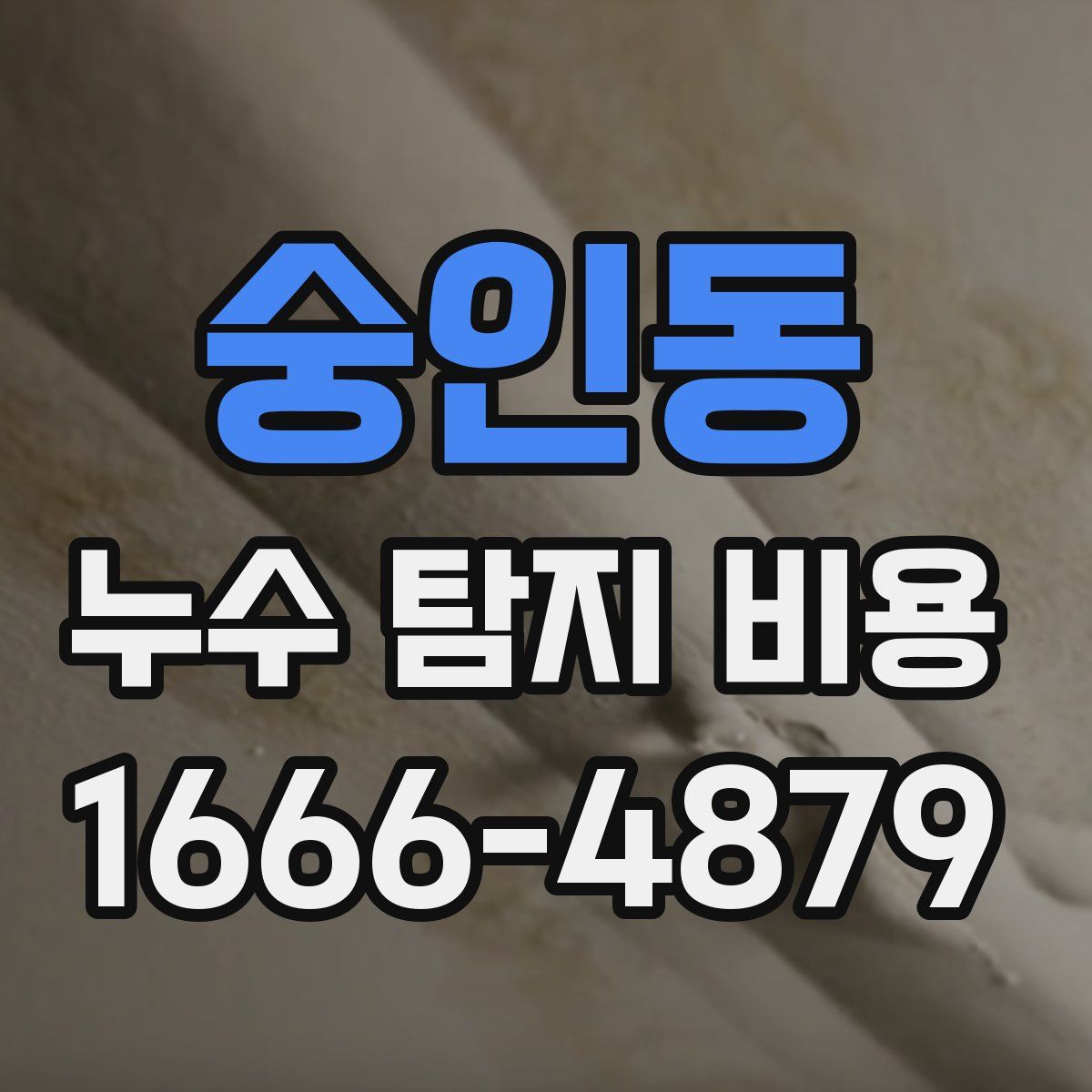 숭인동 누수 탐지 비용
