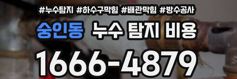 숭인동 누수 탐지 비용