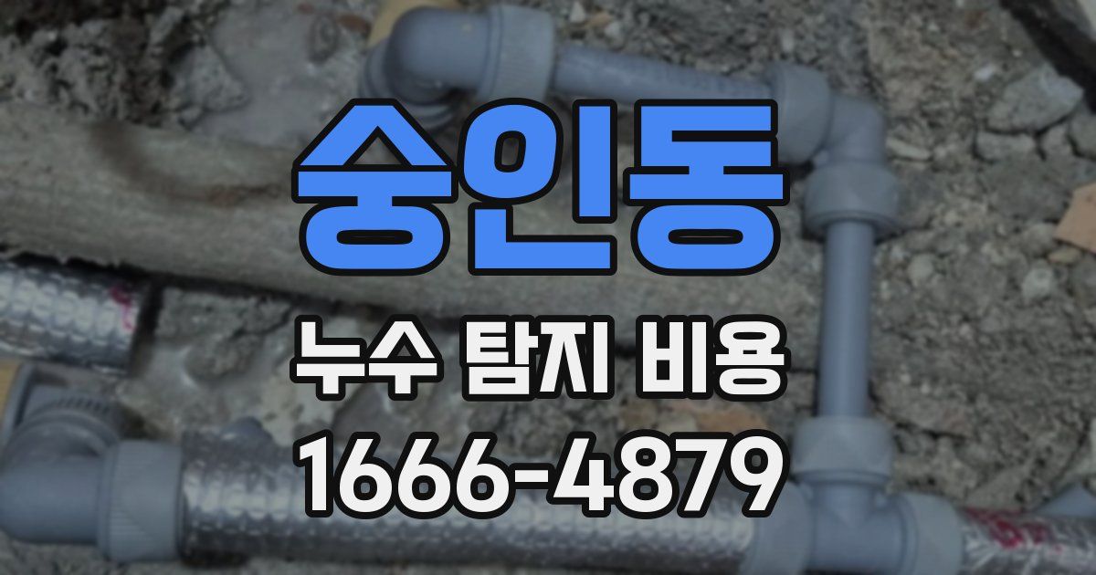숭인동 누수 탐지 비용
