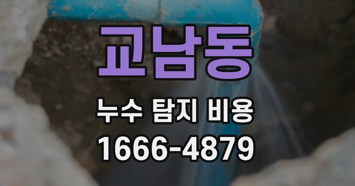 교남동 누수 탐지 비용