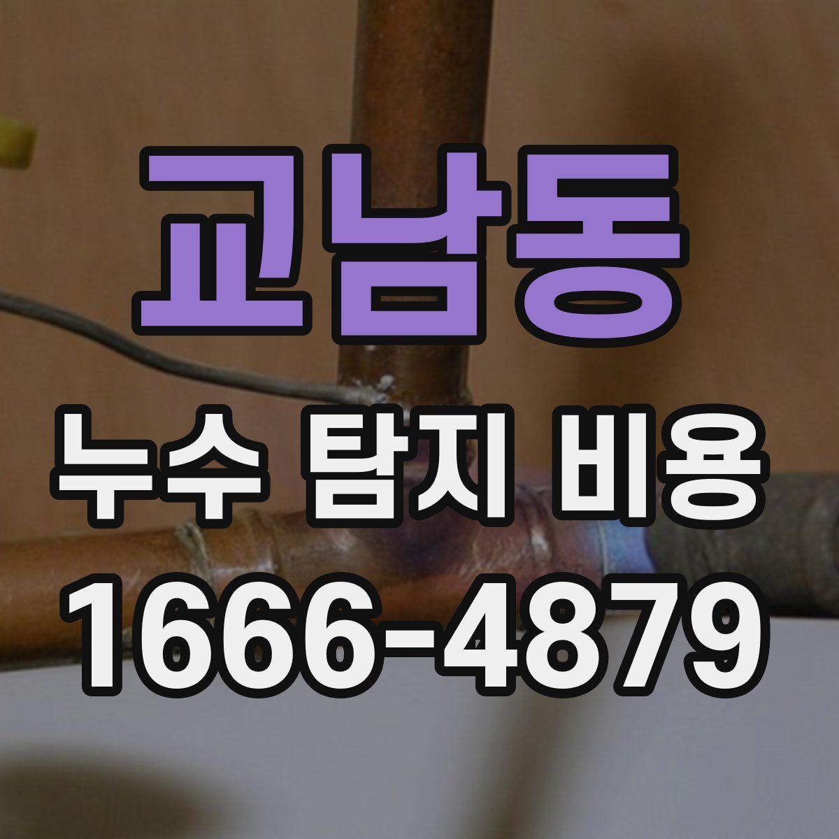교남동 누수 탐지 비용