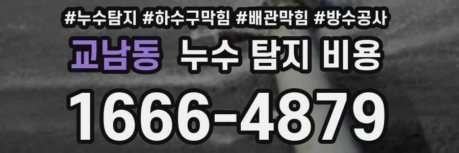 교남동 누수 탐지 비용