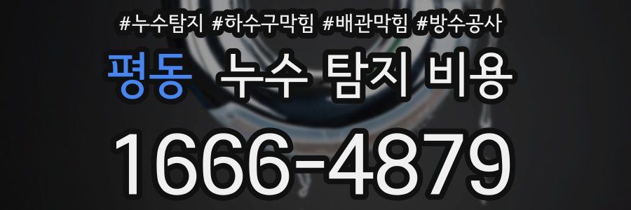 평동 누수 탐지 비용