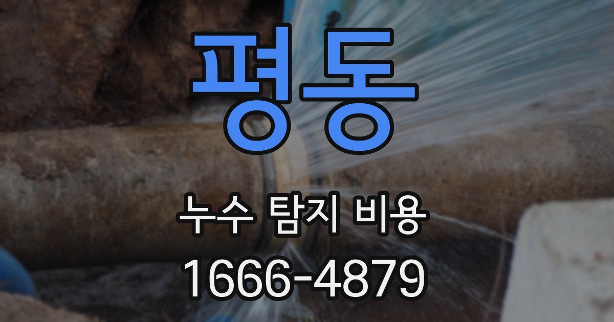 평동 누수 탐지 비용