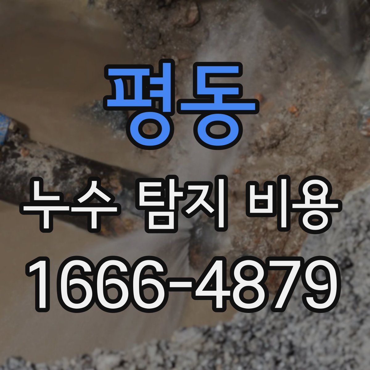 평동 누수 탐지 비용