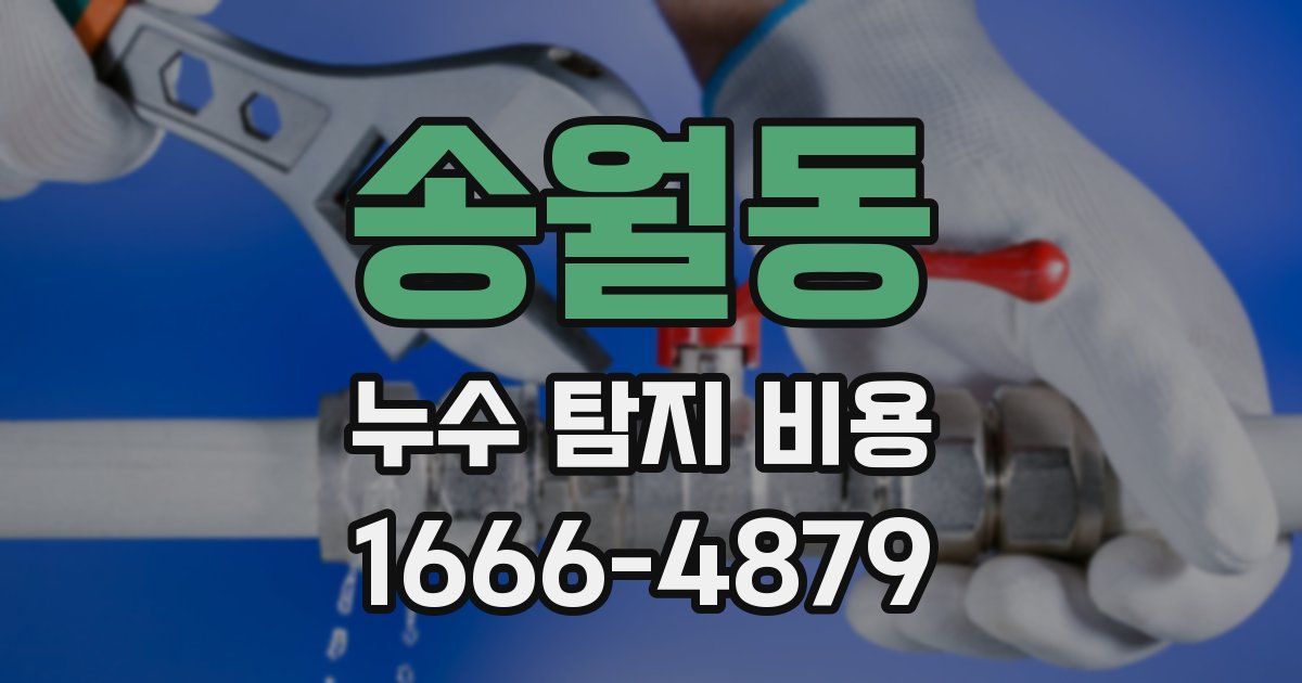 송월동 누수 탐지 비용