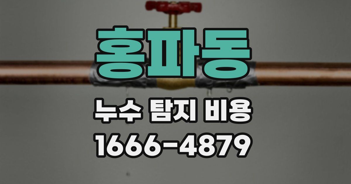 홍파동 누수 탐지 비용