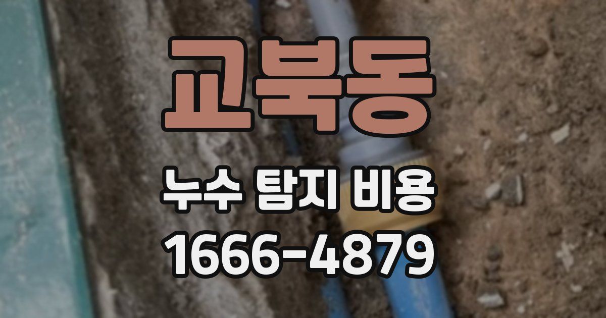 교북동 누수 탐지 비용