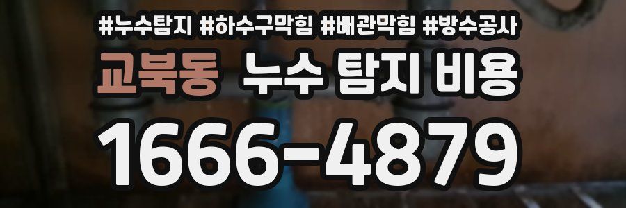 교북동 누수 탐지 비용
