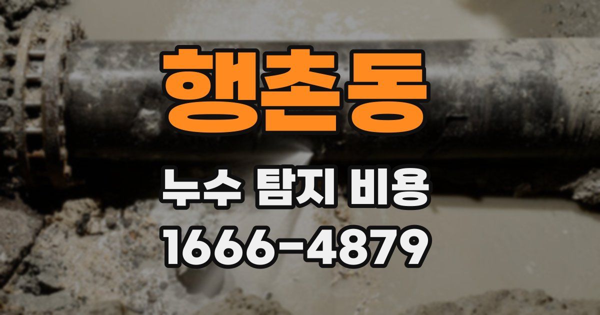행촌동 누수 탐지 비용