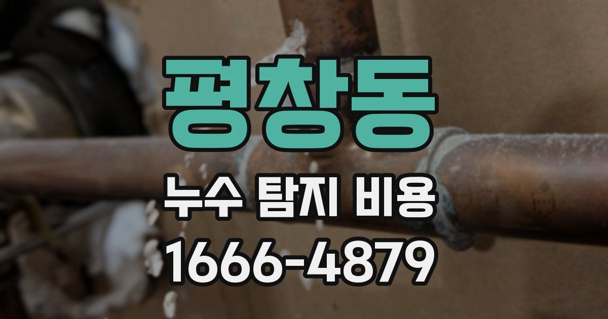 평창동 누수 탐지 비용