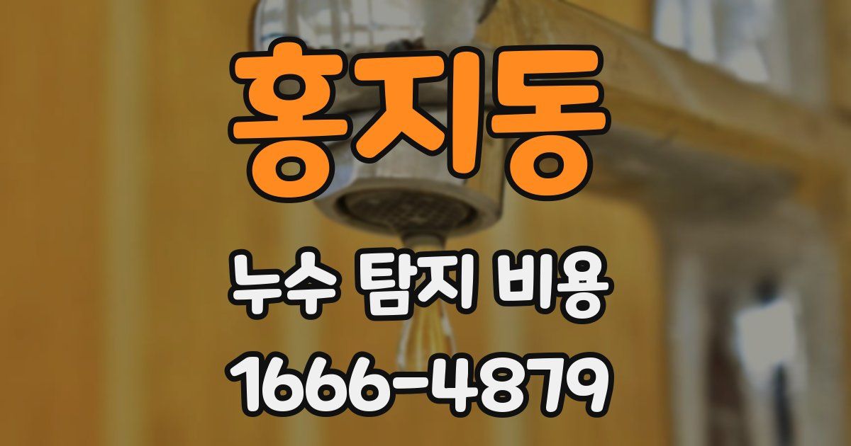 홍지동 누수 탐지 비용