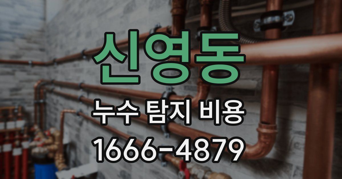 신영동 누수 탐지 비용