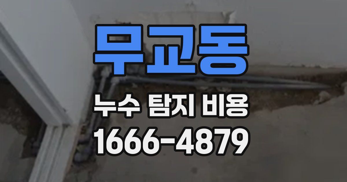 무교동 누수 탐지 비용