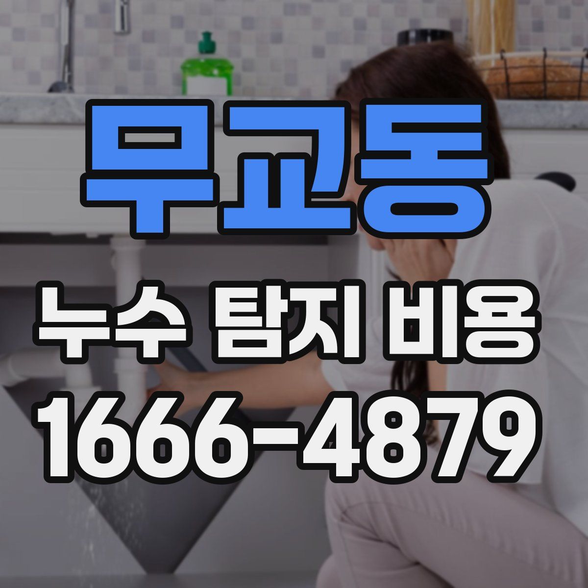 무교동 누수 탐지 비용
