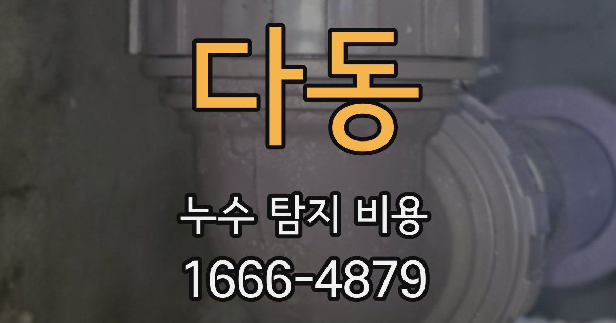 다동 누수 탐지 비용