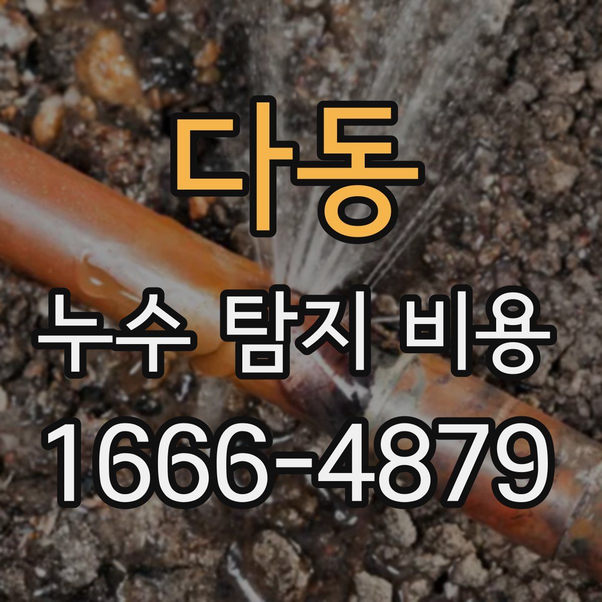 다동 누수 탐지 비용