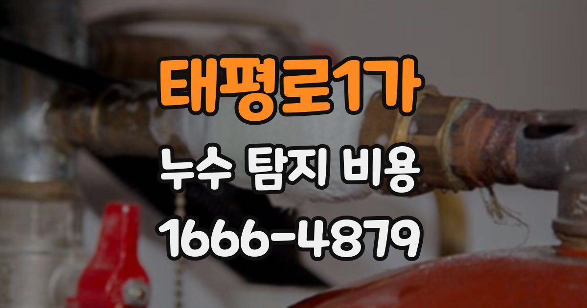 태평로1가 누수 탐지 비용