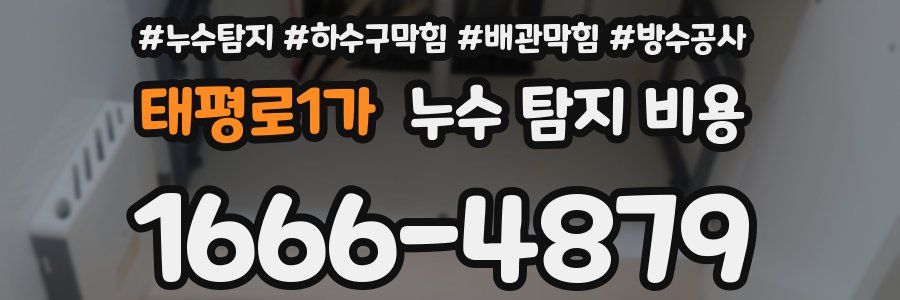 태평로1가 누수 탐지 비용