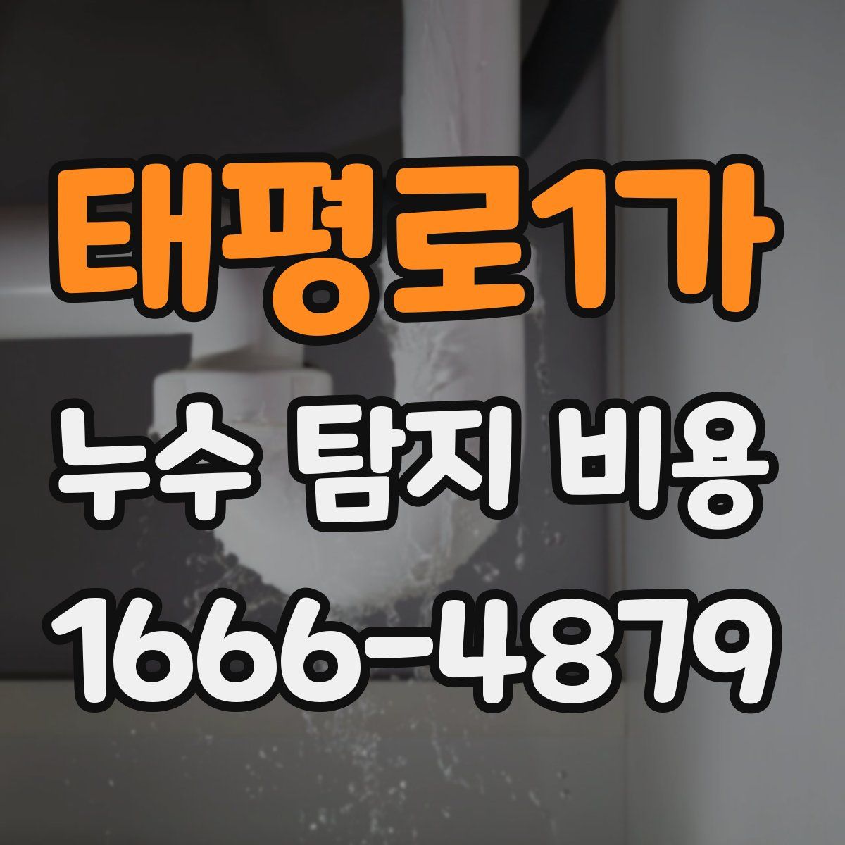 태평로1가 누수 탐지 비용