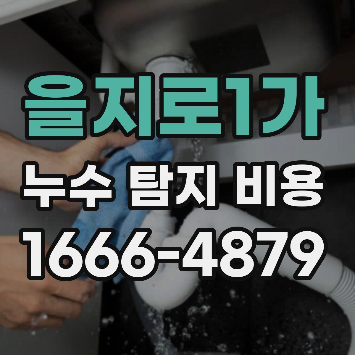 을지로1가 누수 탐지 비용