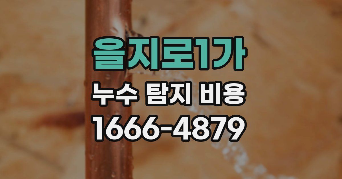 을지로1가 누수 탐지 비용